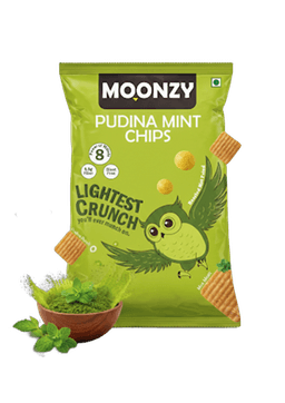 Pudina Mint Chips